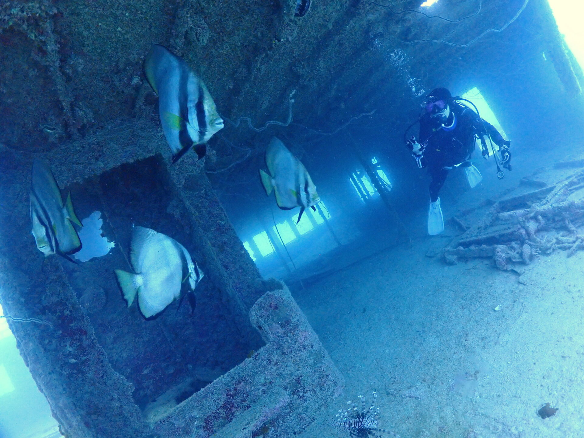 宮古島ダイビング　3本目